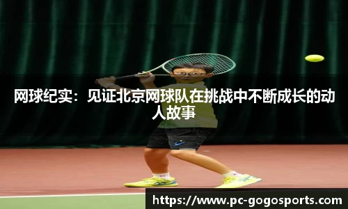 GoGo体育平台